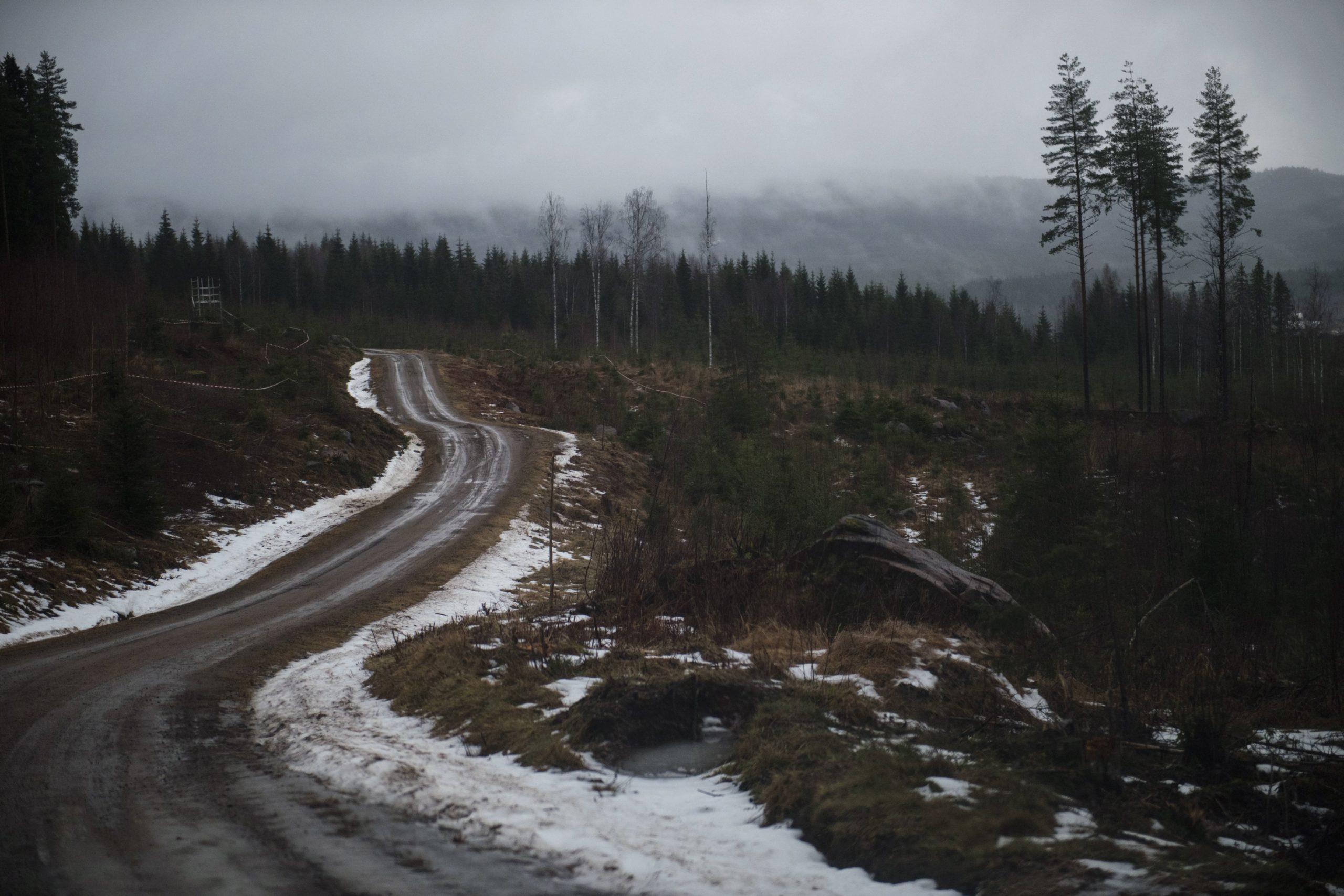 Rootsi 2020 – Lumevaene talveralli